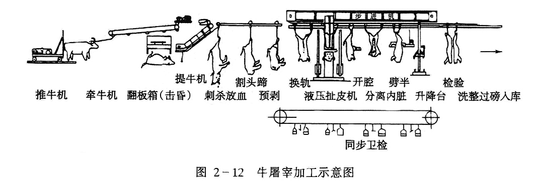 肉牛屠宰加工工艺流程介绍