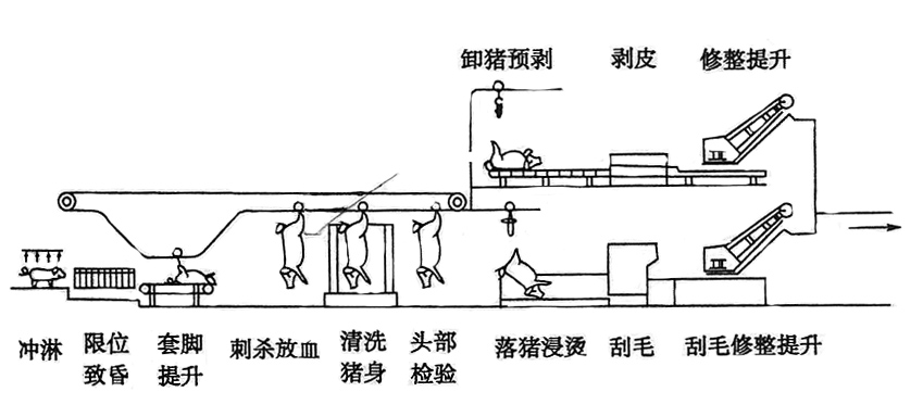 生猪屠宰加工工艺流程介绍