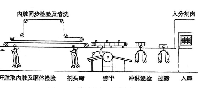 肉羊屠宰加工工艺流程介绍